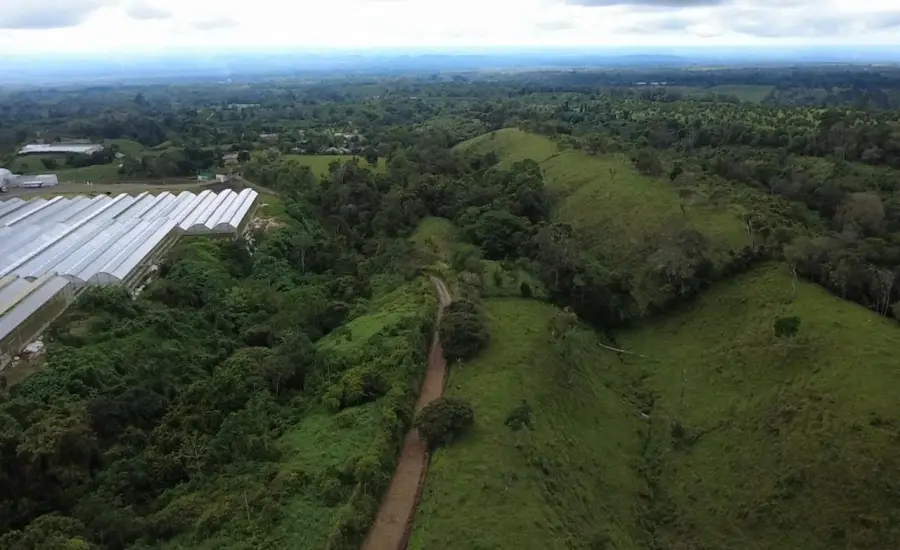 Finca con tierra negra, pasto, clima fresco y bien ubicada. , EL BANCO DE ROVIRA POTRERILLOS CHIRIQUI, Chiriqui, 26093