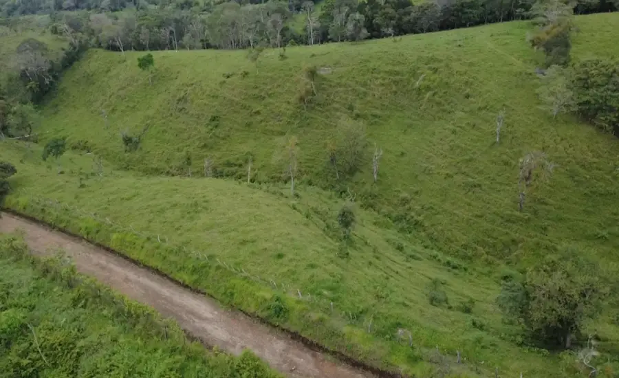 Finca con tierra negra, pasto, clima fresco y bien ubicada. , EL BANCO DE ROVIRA POTRERILLOS CHIRIQUI, Chiriqui, 26093