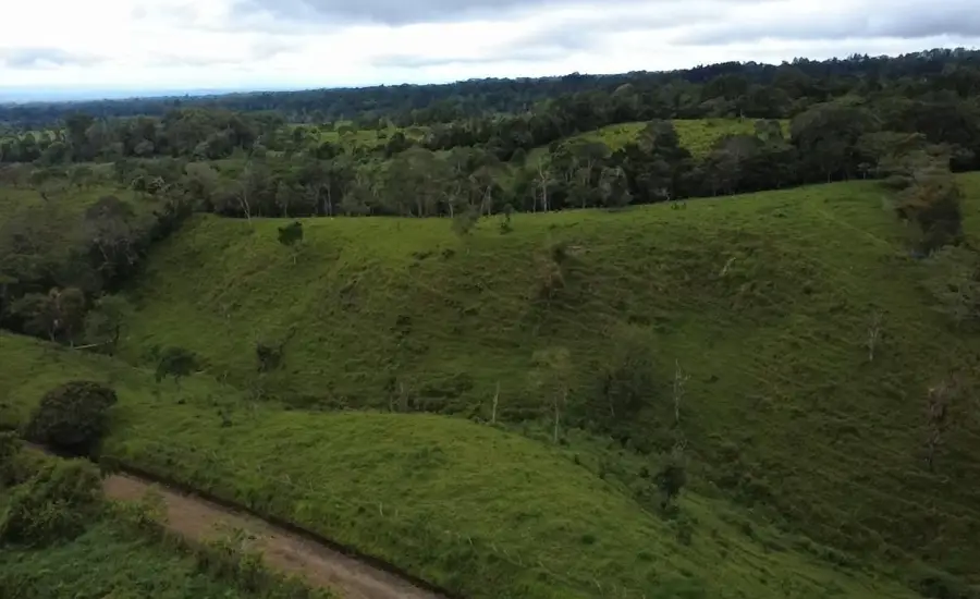 Finca con tierra negra, pasto, clima fresco y bien ubicada. , EL BANCO DE ROVIRA POTRERILLOS CHIRIQUI, Chiriqui, 26093