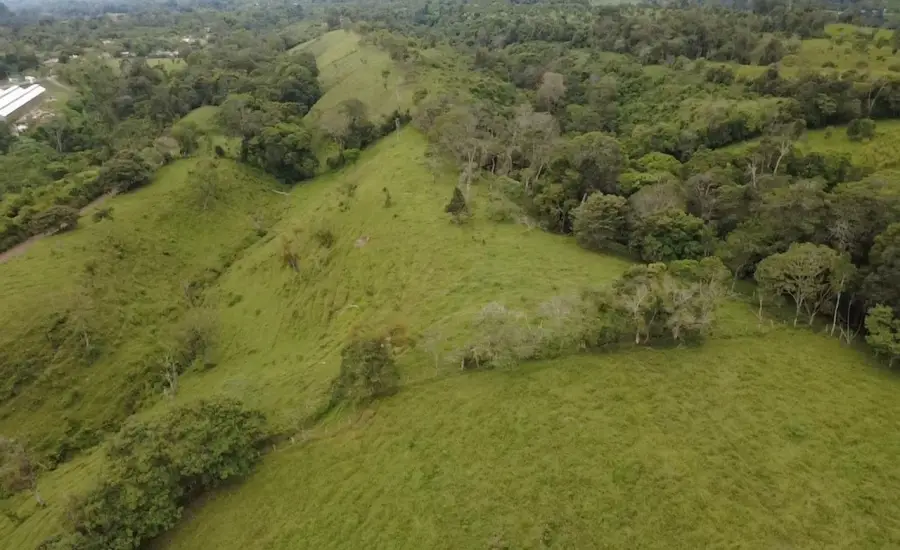 Finca con tierra negra, pasto, clima fresco y bien ubicada. , EL BANCO DE ROVIRA POTRERILLOS CHIRIQUI, Chiriqui, 26093