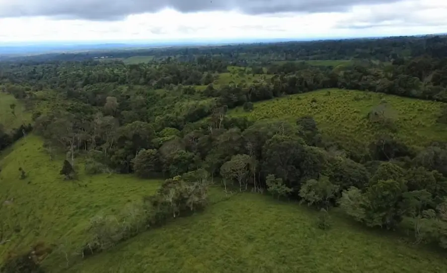 Finca con tierra negra, pasto, clima fresco y bien ubicada. , EL BANCO DE ROVIRA POTRERILLOS CHIRIQUI, Chiriqui, 26093