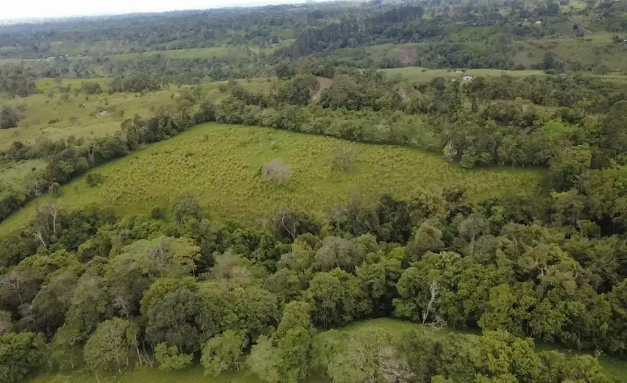 Finca con tierra negra, pasto, clima fresco y bien ubicada. , EL BANCO DE ROVIRA POTRERILLOS CHIRIQUI, Chiriqui, 26093