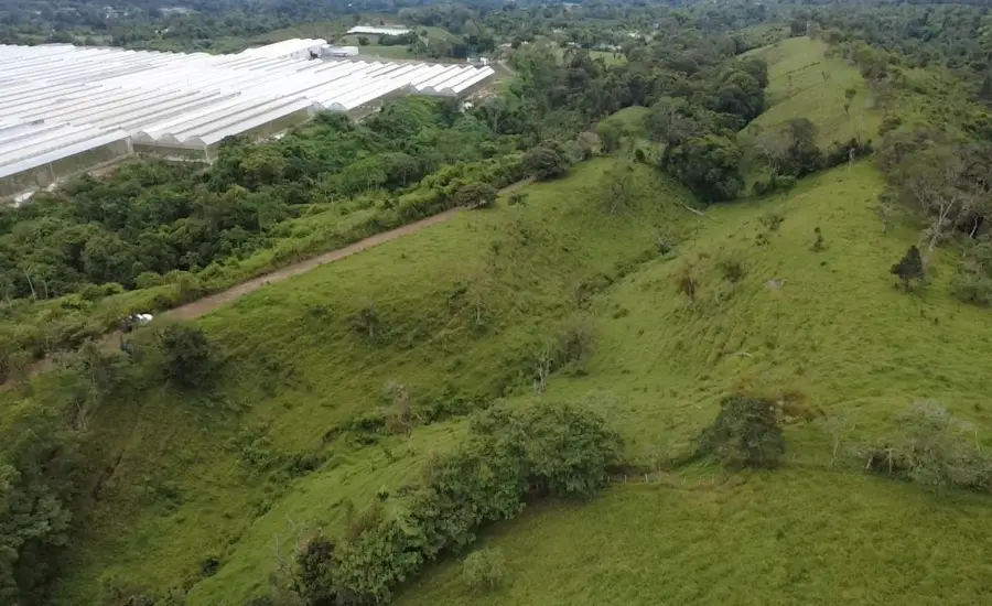 Finca con tierra negra, pasto, clima fresco y bien ubicada. , EL BANCO DE ROVIRA POTRERILLOS CHIRIQUI, Chiriqui, 26093