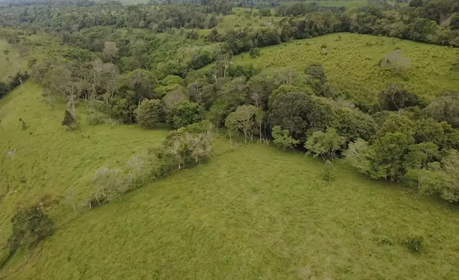 Finca con tierra negra, pasto, clima fresco y bien ubicada. , EL BANCO DE ROVIRA POTRERILLOS CHIRIQUI, Chiriqui, 26093