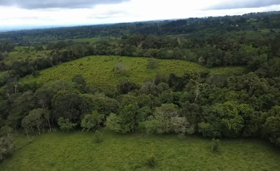 Finca con tierra negra, pasto, clima fresco y bien ubicada. , EL BANCO DE ROVIRA POTRERILLOS CHIRIQUI, Chiriqui, 26093