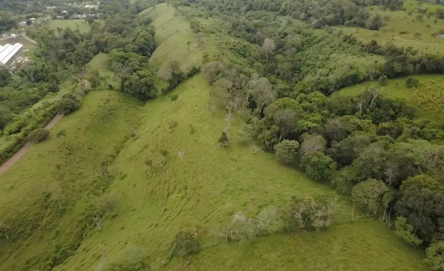 Finca con tierra negra, pasto, clima fresco y bien ubicada. , EL BANCO DE ROVIRA POTRERILLOS CHIRIQUI, Chiriqui, 26093