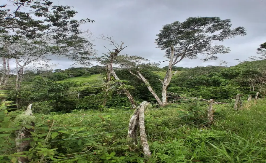 Finca con tierra negra, pasto, clima fresco y bien ubicada. , EL BANCO DE ROVIRA POTRERILLOS CHIRIQUI, Chiriqui, 26093