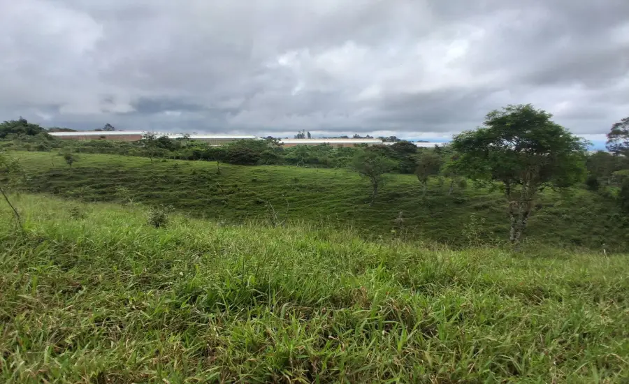 Finca con tierra negra, pasto, clima fresco y bien ubicada. , EL BANCO DE ROVIRA POTRERILLOS CHIRIQUI, Chiriqui, 26093