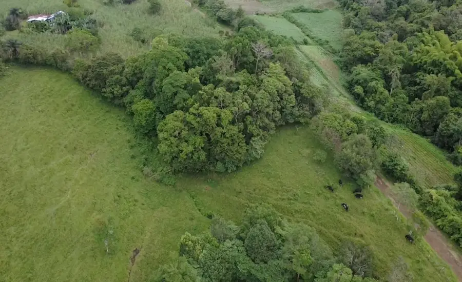 Finca con tierra negra, pasto, clima fresco y bien ubicada. , EL BANCO DE ROVIRA POTRERILLOS CHIRIQUI, Chiriqui, 26093