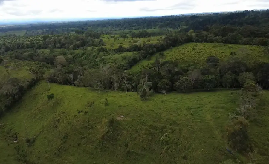 Finca con tierra negra, pasto, clima fresco y bien ubicada. , EL BANCO DE ROVIRA POTRERILLOS CHIRIQUI, Chiriqui, 26093