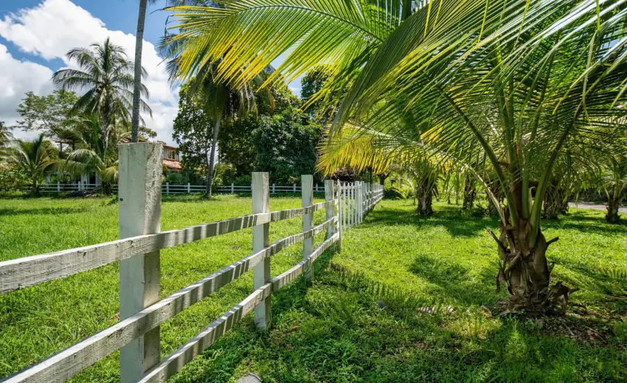 Terreno de primera categoria en Las Lajas, Panama , LOTE 2 MANZANA 12, Chiriqui, 26094