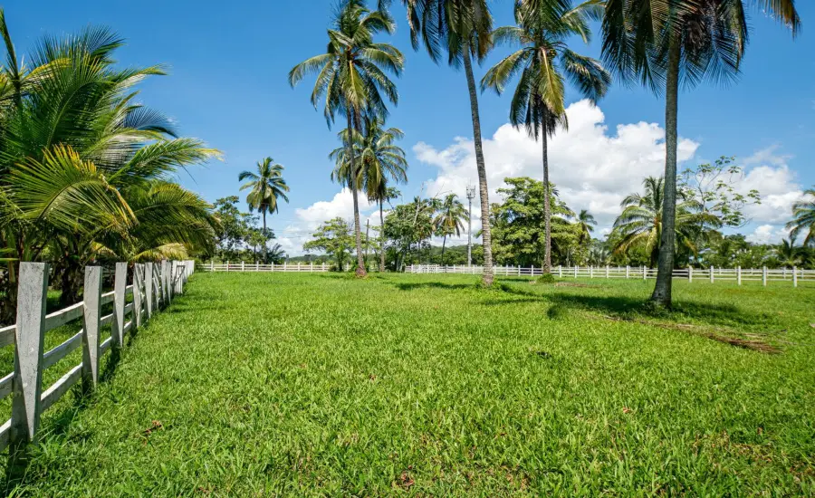 Terreno de primera categoria en Las Lajas, Panama , LOTE 2 MANZANA 12, Chiriqui, 26094