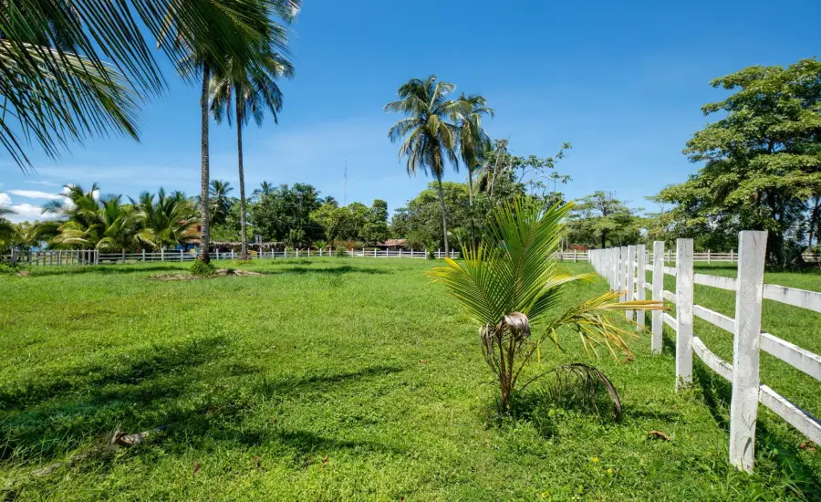Terreno de primera categoria en Las Lajas, Panama , LOTE 2 MANZANA 12, Chiriqui, 26094
