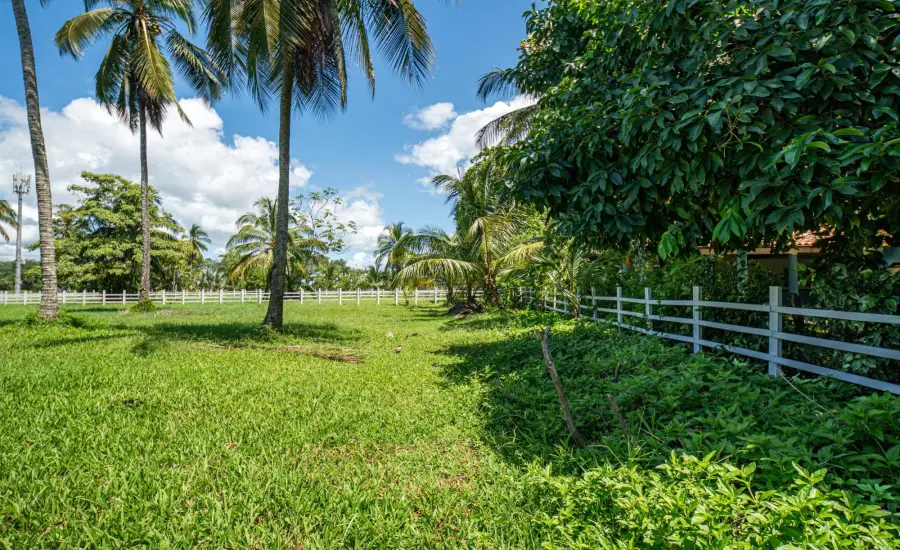 Terreno de primera categoria en Las Lajas, Panama , LOTE 2 MANZANA 12, Chiriqui, 26094