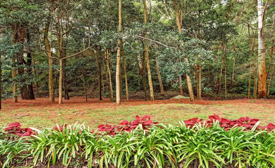 Finca frente al rio Bambito en venta | Volcan Panama , HWY 418 PASO ANCHO, VOLCAN, Chiriqui, 26097