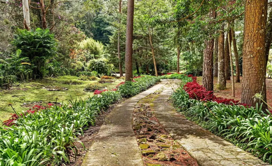 Finca frente al rio Bambito en venta | Volcan Panama , HWY 418 PASO ANCHO, VOLCAN, Chiriqui, 26097