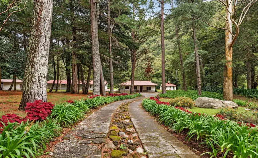 Finca frente al rio Bambito en venta | Volcan Panama , HWY 418 PASO ANCHO, VOLCAN, Chiriqui, 26097