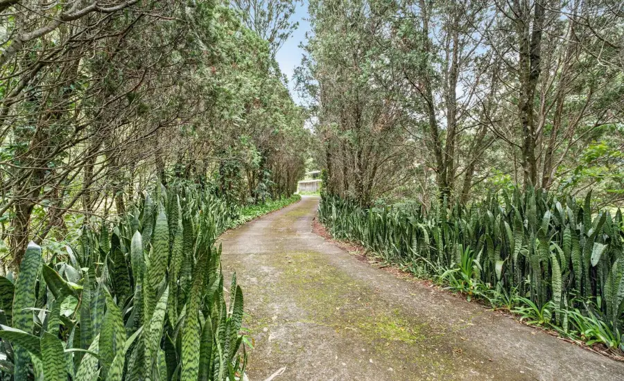 Finca frente al rio Bambito en venta | Volcan Panama , HWY 418 PASO ANCHO, VOLCAN, Chiriqui, 26097