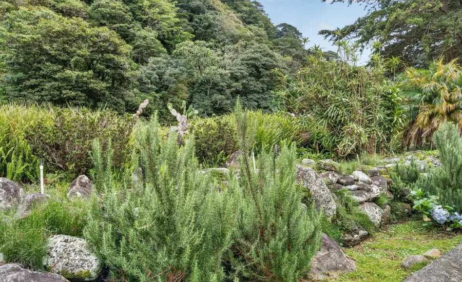 Finca frente al rio Bambito en venta | Volcan Panama , HWY 418 PASO ANCHO, VOLCAN, Chiriqui, 26097