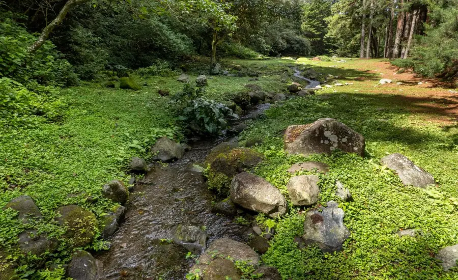 Finca frente al rio Bambito en venta | Volcan Panama , HWY 418 PASO ANCHO, VOLCAN, Chiriqui, 26097