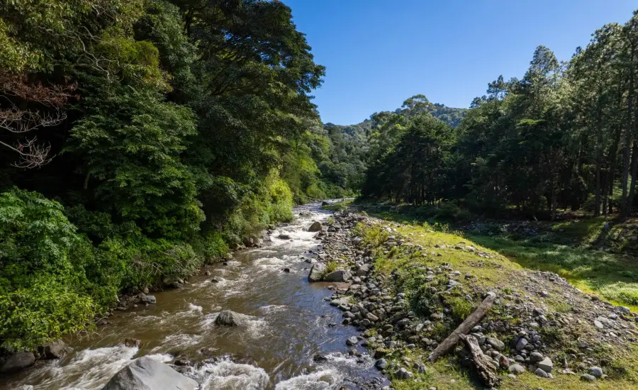 Finca frente al rio Bambito en venta | Volcan Panama , HWY 418 PASO ANCHO, VOLCAN, Chiriqui, 26097
