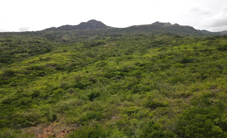 Atractiva finca de 8,3 hectareas cerca de Santa Fe , SANTA FE 8.3 HAS, Veraguas, 26100