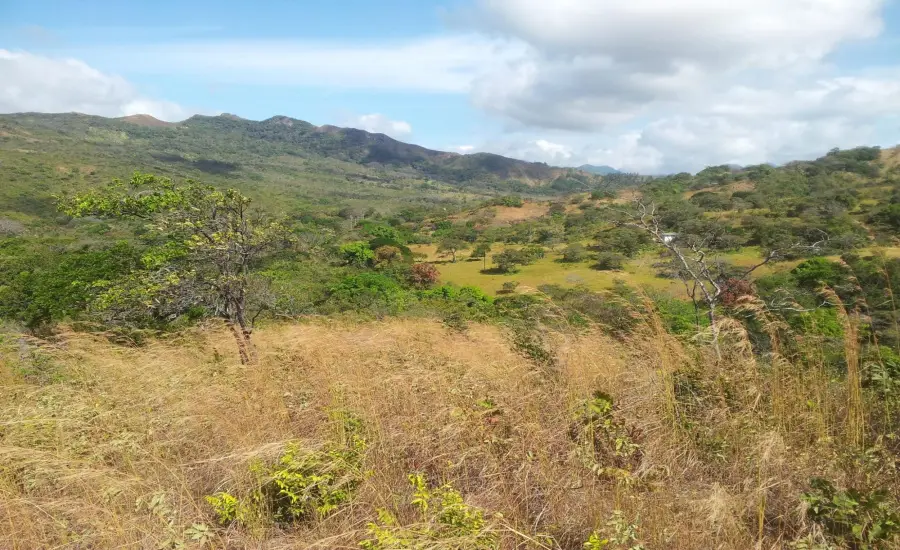 Atractiva finca de 8,3 hectareas cerca de Santa Fe , SANTA FE 8.3 HAS, Veraguas, 26100