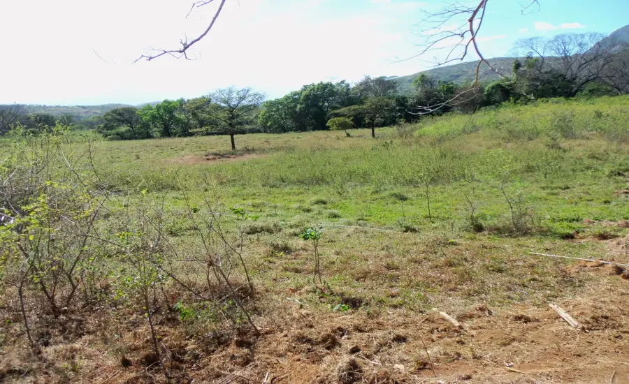 Atractiva finca de 8,3 hectareas cerca de Santa Fe , SANTA FE 8.3 HAS, Veraguas, 26100