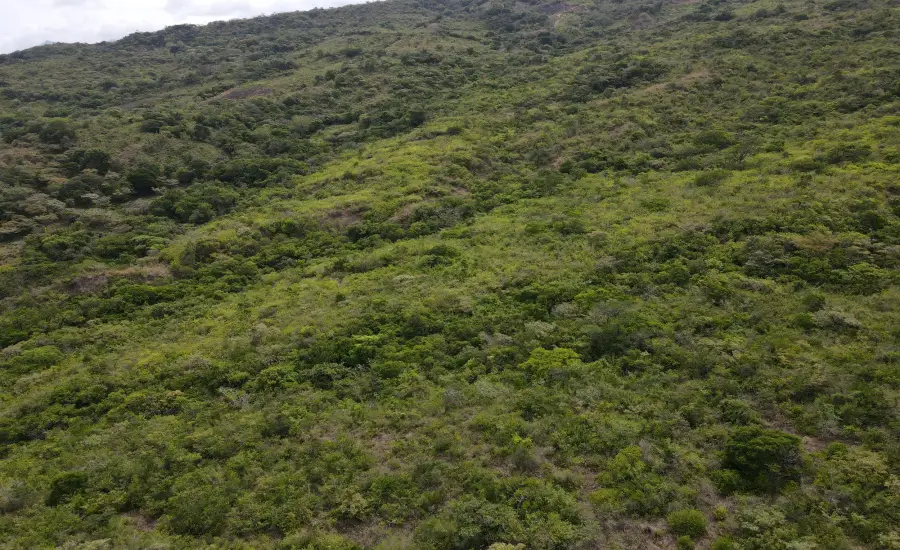 Atractiva finca de 8,3 hectareas cerca de Santa Fe , SANTA FE 8.3 HAS, Veraguas, 26100