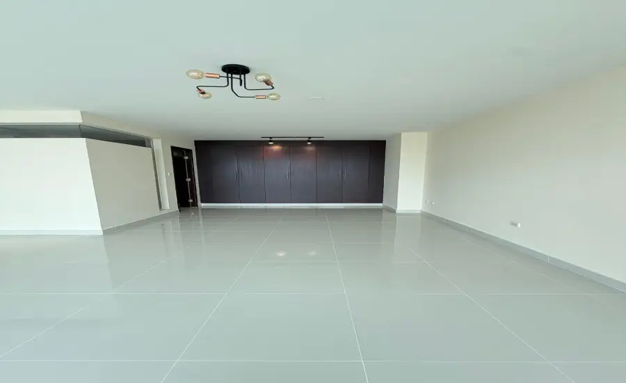 Se Vende PH Vitro Loft EL CANGREJO , CALLE ENRIQUE GREENZIER, Panamá, 26104
