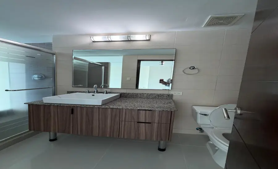 Se Vende PH Vitro Loft EL CANGREJO , CALLE ENRIQUE GREENZIER, Panamá, 26104