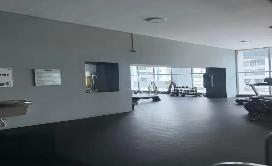 Se Vende PH Vitro Loft EL CANGREJO , CALLE ENRIQUE GREENZIER, Panamá, 26104
