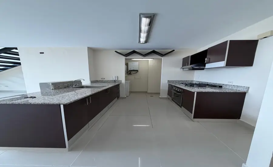 Se Vende PH Vitro Loft EL CANGREJO , CALLE ENRIQUE GREENZIER, Panamá, 26104