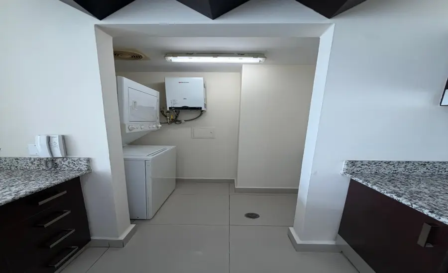 Se Vende PH Vitro Loft EL CANGREJO , CALLE ENRIQUE GREENZIER, Panamá, 26104
