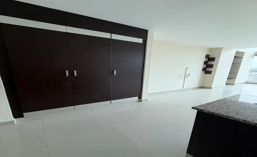 Se Vende PH Vitro Loft EL CANGREJO , CALLE ENRIQUE GREENZIER, Panamá, 26104