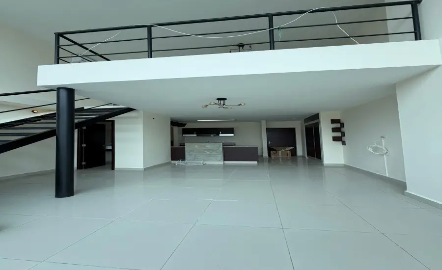 Se Vende PH Vitro Loft EL CANGREJO , CALLE ENRIQUE GREENZIER, Panamá, 26104