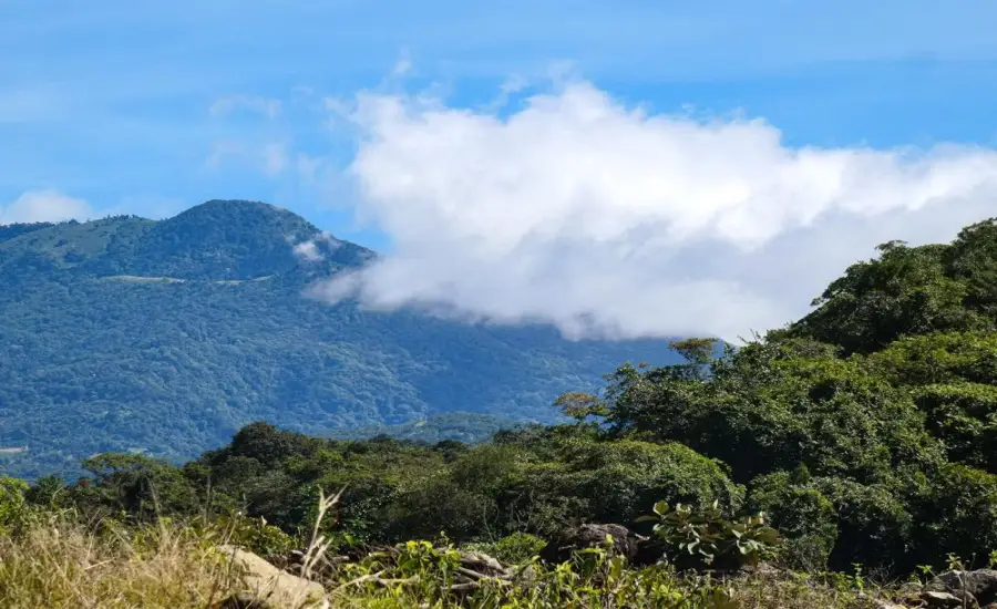 Lote de 2,100 m&sup2; en Venta en Las Trancas, Boquete , LAS TRANCAS, ALTO BOQUETE, CHIRIQUI, Chiriqui, 26106