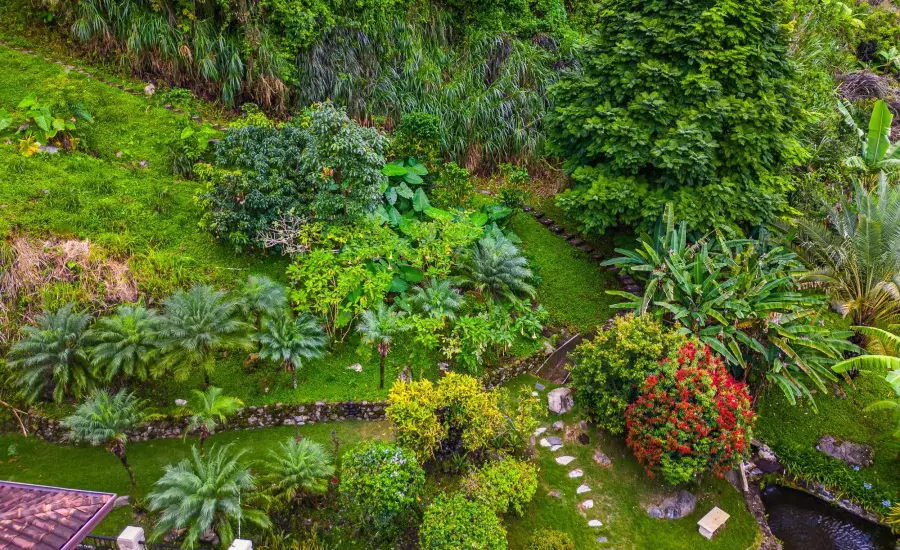 Se vende Mansion en Boquete - Chiriqui , BOQUETE, Chiriqui, 26107