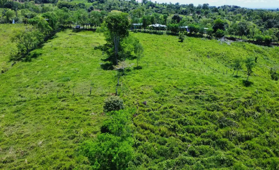 Terreno Edificable de 7.41 Acres en Santa Rosa Bugaba , 0 CHIRIQUI, BUGABA, SANTA ROSA, Chiriqui, 26111