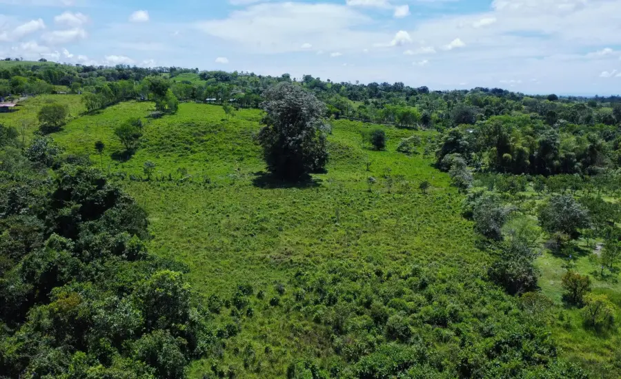 Terreno Edificable de 7.41 Acres en Santa Rosa Bugaba , 0 CHIRIQUI, BUGABA, SANTA ROSA, Chiriqui, 26111