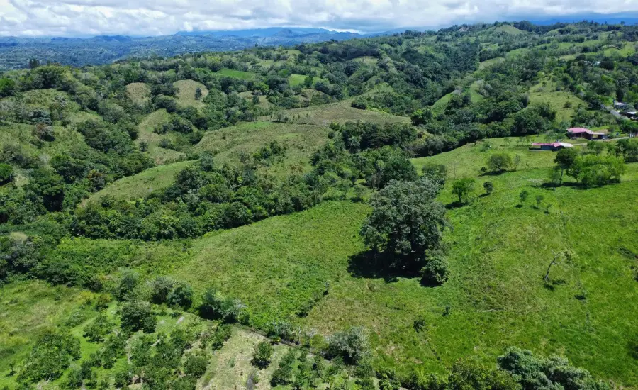 Terreno Edificable de 7.41 Acres en Santa Rosa Bugaba , 0 CHIRIQUI, BUGABA, SANTA ROSA, Chiriqui, 26111