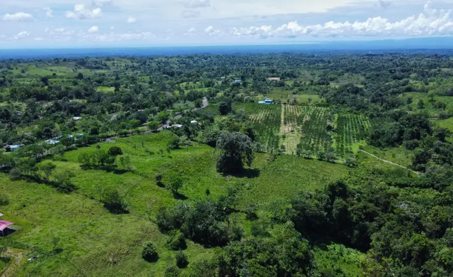 Terreno Edificable de 7.41 Acres en Santa Rosa Bugaba , 0 CHIRIQUI, BUGABA, SANTA ROSA, Chiriqui, 26111