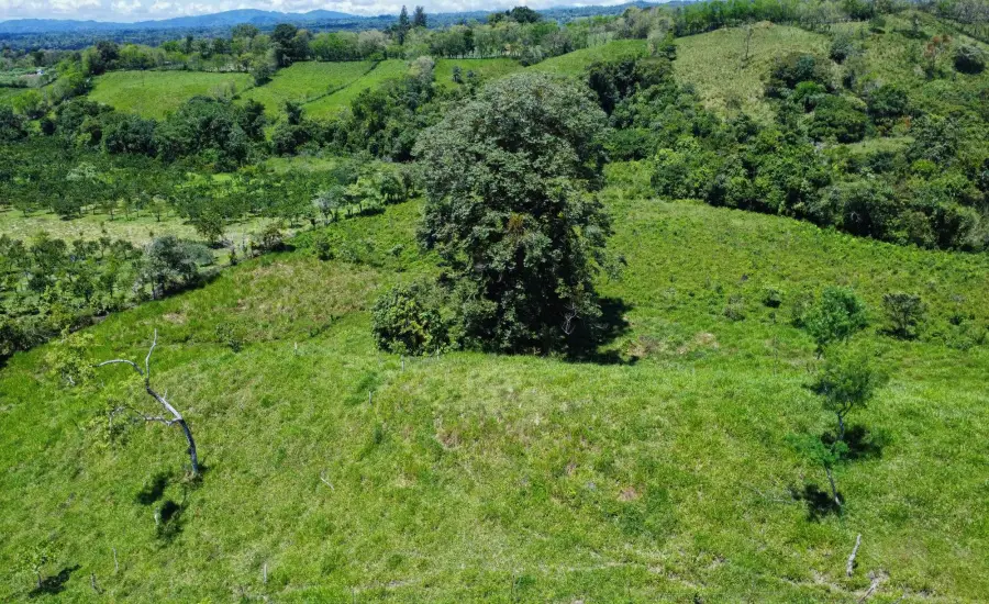 Terreno Edificable de 7.41 Acres en Santa Rosa Bugaba , 0 CHIRIQUI, BUGABA, SANTA ROSA, Chiriqui, 26111