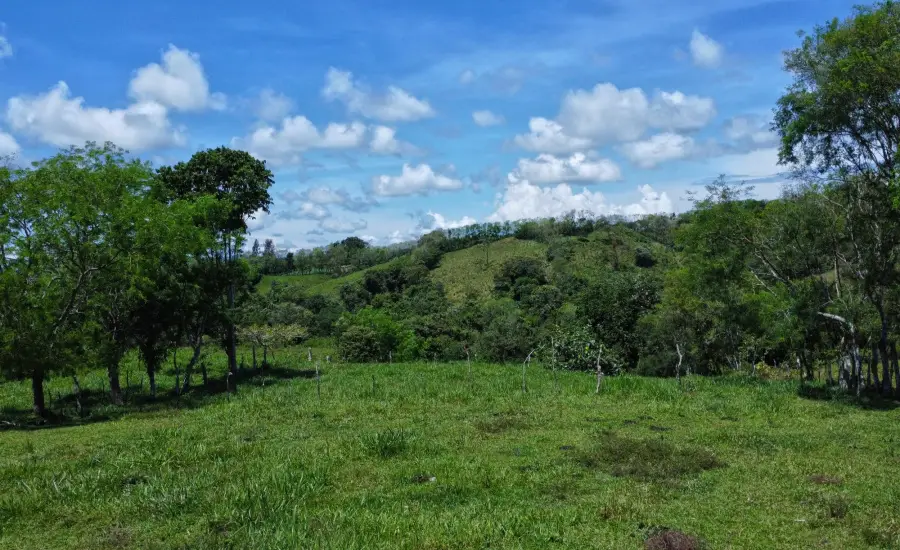 Terreno Edificable de 7.41 Acres en Santa Rosa Bugaba , 0 CHIRIQUI, BUGABA, SANTA ROSA, Chiriqui, 26111