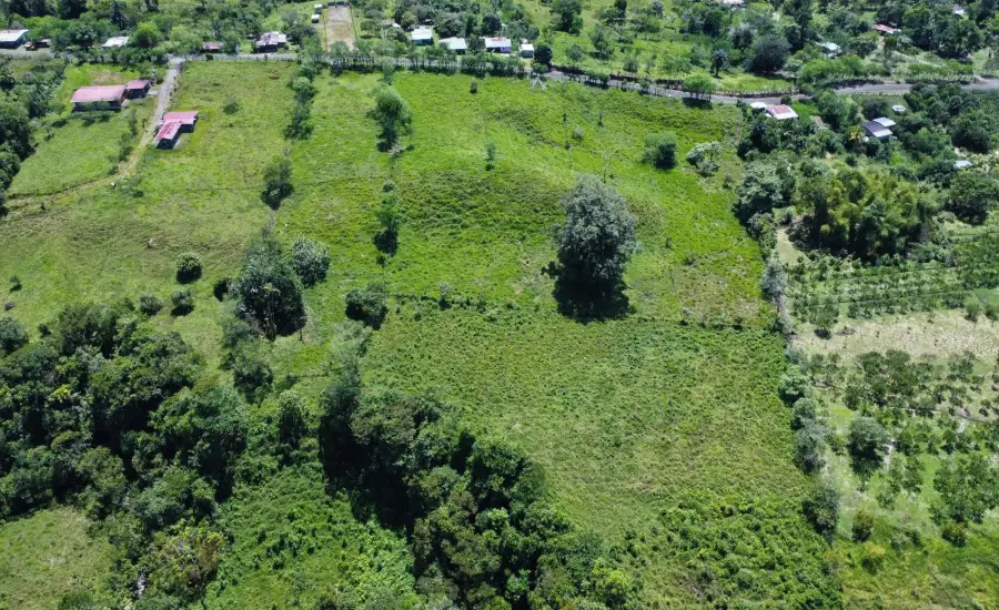 Terreno Edificable de 7.41 Acres en Santa Rosa Bugaba , 0 CHIRIQUI, BUGABA, SANTA ROSA, Chiriqui, 26111