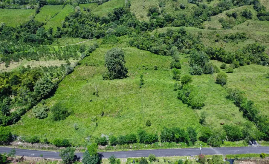 Terreno Edificable de 7.41 Acres en Santa Rosa Bugaba , 0 CHIRIQUI, BUGABA, SANTA ROSA, Chiriqui, 26111