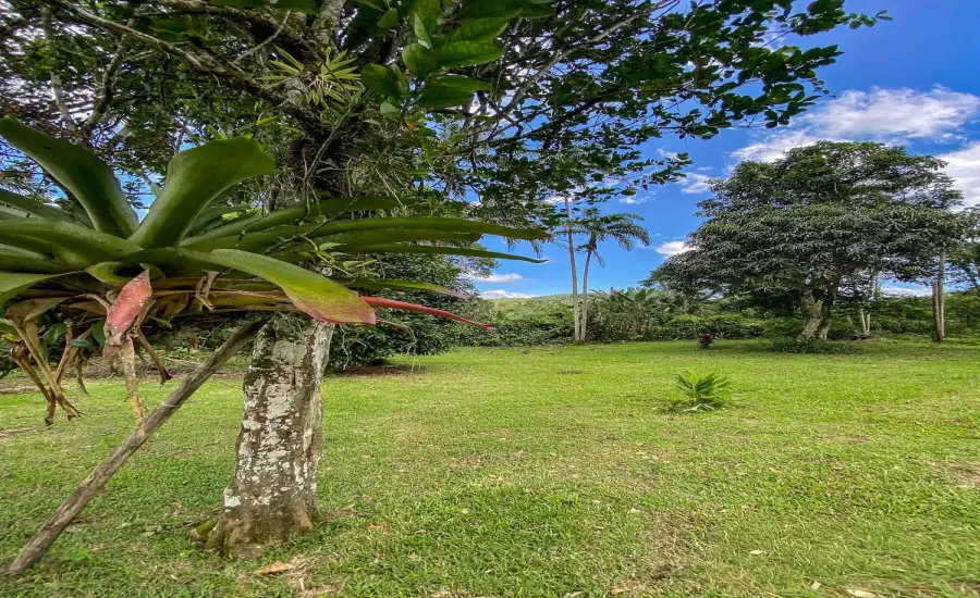 Terreno plano de 1,89 acres con casa en Renacimiento , RENACIMIENTO, RIO SERENO, CHIRIQUI, Chiriqui, 26116
