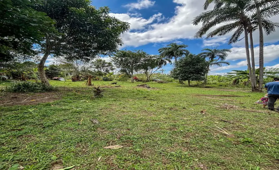 Terreno plano de 1,89 acres con casa en Renacimiento , RENACIMIENTO, RIO SERENO, CHIRIQUI, Chiriqui, 26116