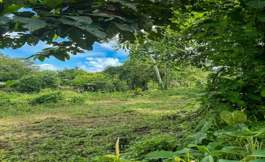 Terreno plano de 1,89 acres con casa en Renacimiento , RENACIMIENTO, RIO SERENO, CHIRIQUI, Chiriqui, 26116