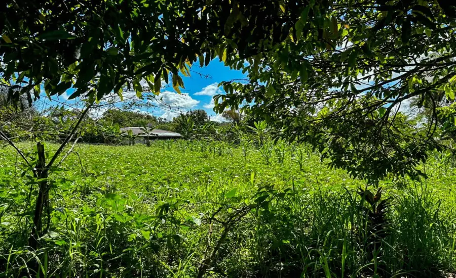 Terreno plano de 1,89 acres con casa en Renacimiento , RENACIMIENTO, RIO SERENO, CHIRIQUI, Chiriqui, 26116